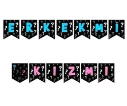 Cinsiyet Erkekmi Kızmı Banner