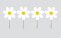 Papatya Temalı Kürdan 8'li