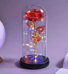 LED Işıklı Fanuslu Kırmızı Sonsuzluk Gülü – Gece Lambası